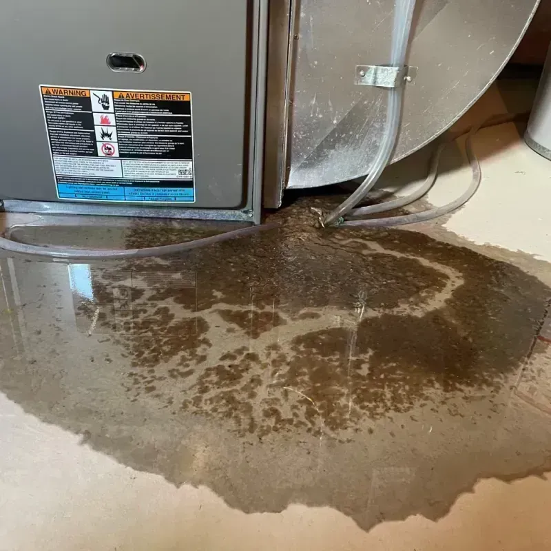 Appliance Leak Cleanup in Sullivan City, TX